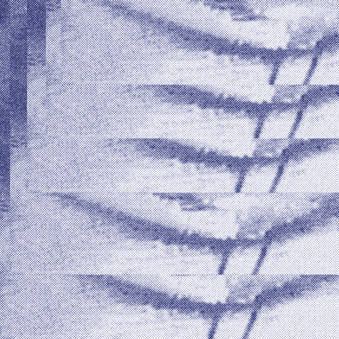 Puisi-puisi Rifqi Septian Dewantara