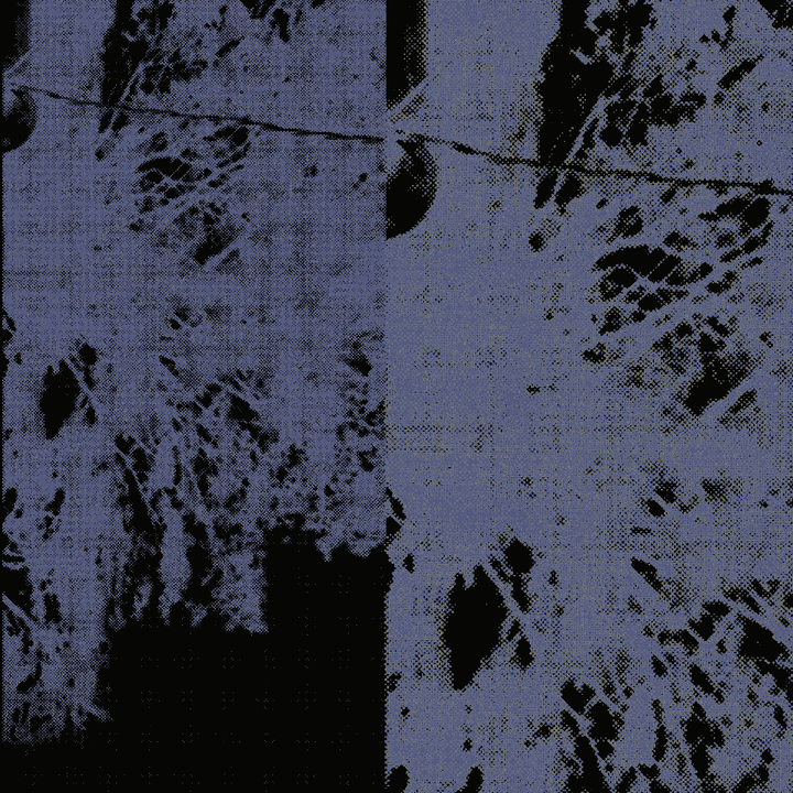 Puisi-puisi Yanuar Abdillah Setiadi